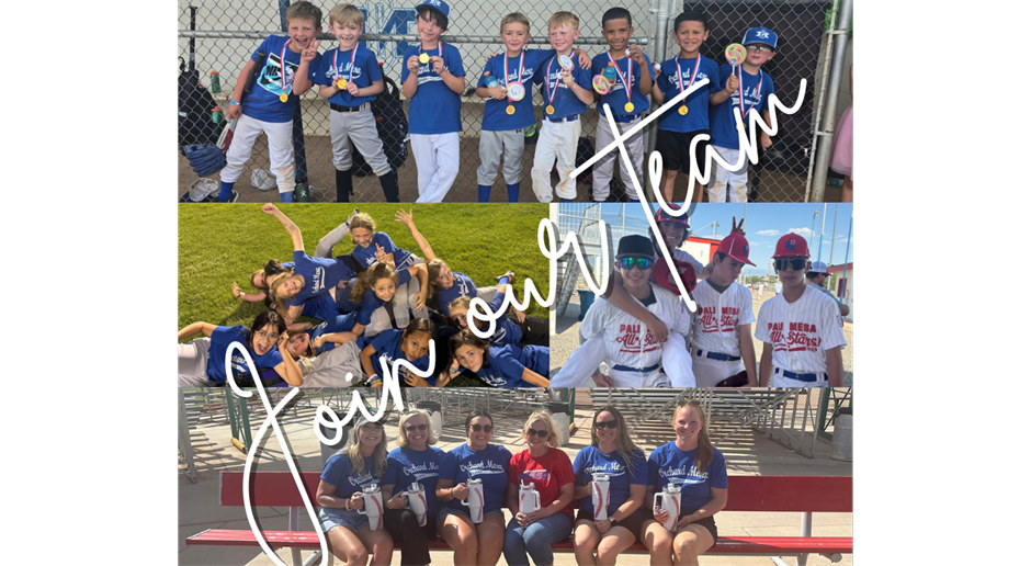 Welcome to Orchard Mesa Little League