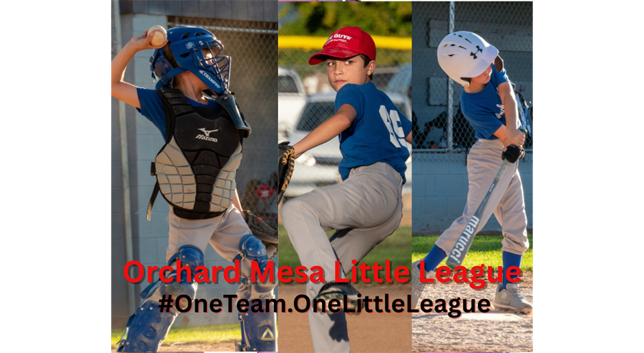 Oneteamonelittleleage
